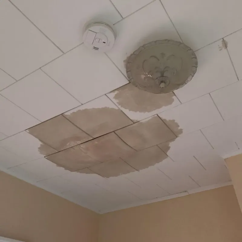 Ceiling Water Damage Repair in Houston County, MN