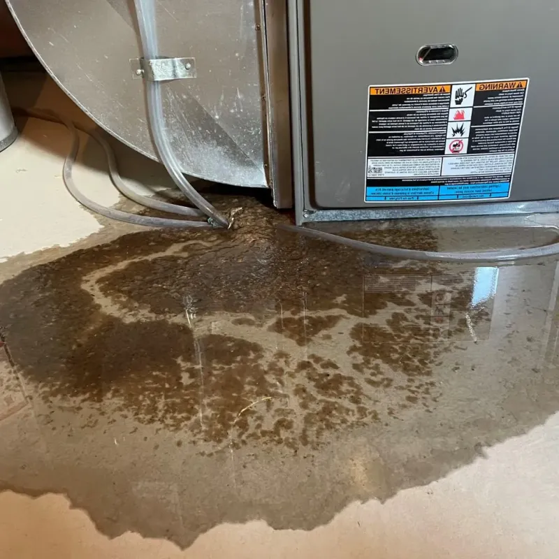 Pipe Burst and Leak Restoration in Houston County, MN