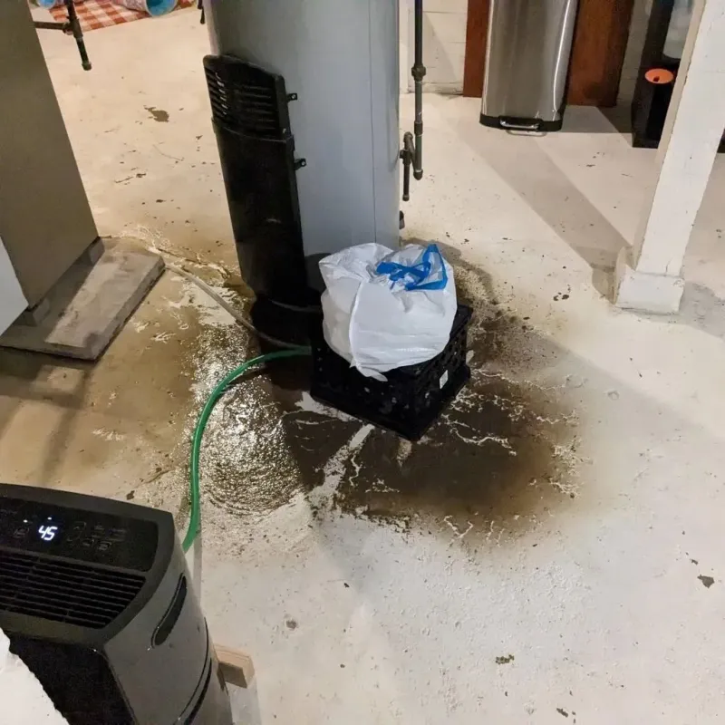 Sewage Backup Cleanup Service in Houston County, MN